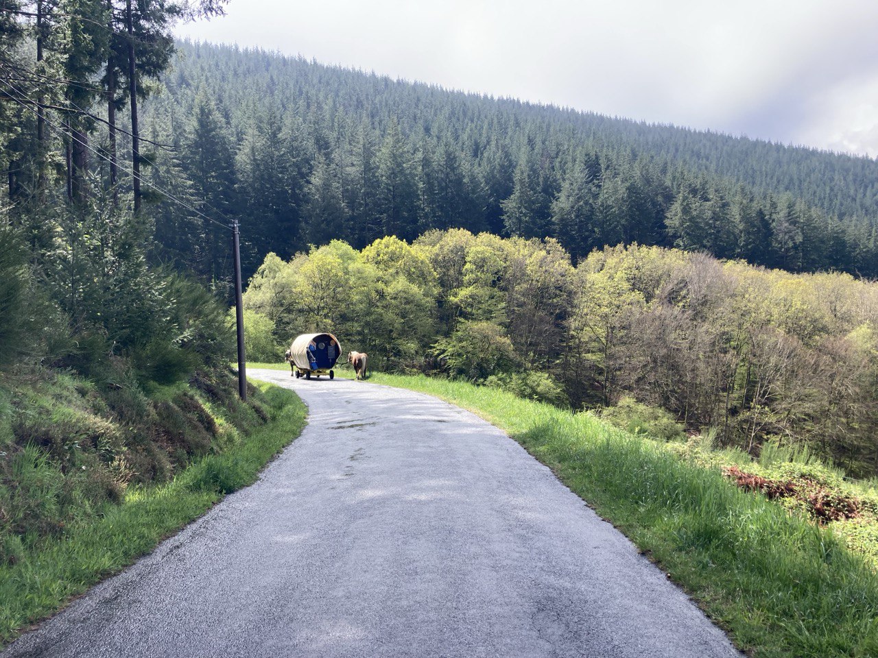 La roulotte reprend la route !